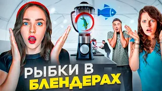 Делай все, что хочешь! Рыбки в блендере! Проверка моральных качеств человека! Социальный эксперимент