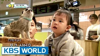 The Return of Superman | 슈퍼맨이 돌아왔다 - Ep.171 [ENG / 2017.03.05]