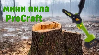 Аккумуляторная мини пила ProCraft PKA18 / Ремонт, обзор! Веткорез!