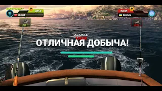 Fishing Clash Большой Турнир