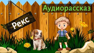 Рене Госинни. Рекс | Малыш Николя и его друзья | Аудиосказка слушать онлайн | Сказки для детей |