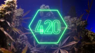 420 ПРАЗДНИЧНЫЙ СТРИМ 420