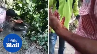 Dramatic moment crocodile chomps on man's hand in india