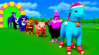 Animal Crossing Fountain | Paint and Animals Dog, Chicken, Cat, Bear, lion, tiger - Funny Animals