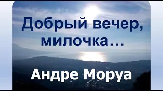 Андре Моруа Добрый вечер, милочка - Аудиокнига Психология Отношений - Истории Жизни - Классика