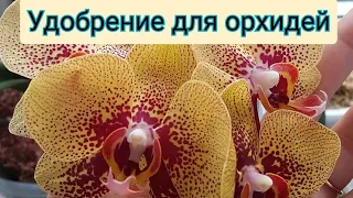 Как, когда и чем УДОБРЯТЬ орхидеи,чтобы ПЫШНО цвели и чтобы не НАВРЕДИТЬ?