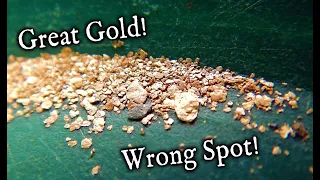 Found gold in all the wrong places!