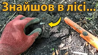 Нашел древнятину в лесу.!Коп монет с minelab equinox 800