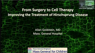 Alan Goldstein: Improving the Treatment of Hirschsprung Disease