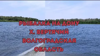 Рыбалка на Дону хутор Вертячий