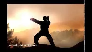 Qi Gong Music Sounds: Relaxing Tai Chi Music and QiGong Meditation Nature Music