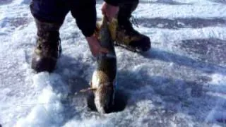 Ice fishing for Northern Pike in Massachusetts