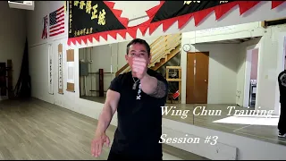 Training Day 3 | Fei Mong Wing Chun