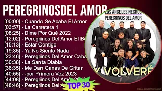 P e r e g r i n o s d e l A m o r 2024 MIX Las Mejores Canciones T11 ~ 2010s Music ~ Top Alterna...