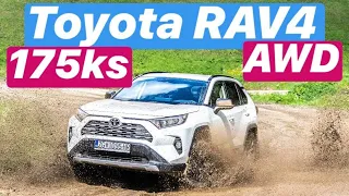 Toyota RAV4 AWD - TOP 5 stvari koje morate znati