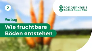 Wie fruchtbare Böden entstehen: der biozyklisch-vegane Weg zur natürlichen Bodenregeneration