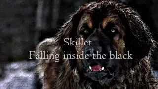 Skillet - Falling inside the black(Call of the wild)