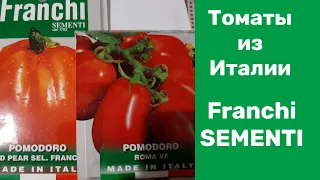 Семена томатов из Италии.
