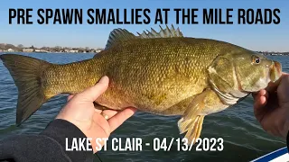 Lake St Clair Smallmouth Bass Fishing | How To Catch Pre Spawn On The Mile Roads