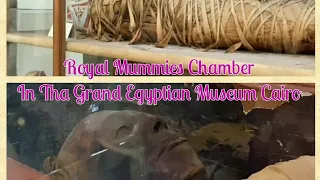 Royal Mummies Chamber||In the Grand Egyptian Museum|| Cairo #shorts Rang Zindagi Kay Channel