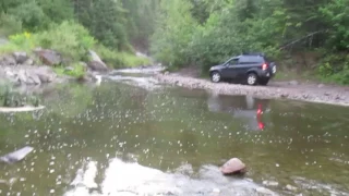 RAV4 offroad: little river crossing