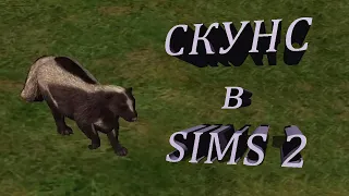 Sims 2: Вонючка Скунс! 🤢