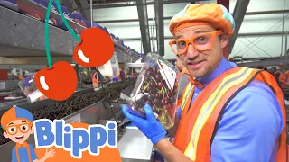Blippi Explores A Cherry Farm! | Healthy Habits & Eatings For Children | Educational Videos for Kids