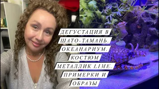 Костюм металлик LIME ТОП🔥🔥🔥 Дегустация в Шато-Тамань. Океанариум. Много образов и примерок