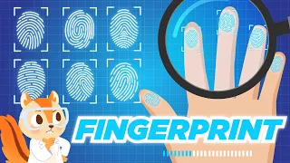 Everything you need to know about FINGERPRINTS | Cool Facts | Science Video for Kids