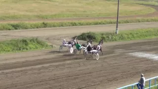 30.07.16. Раменский ипподром. Приз Элиты