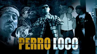 PERRO LOCO - PELÍCULA COMPLETA #larazamex