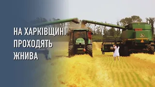 На Харківщині проходять жнива