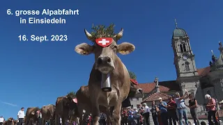 6. grosse Alpabfahrt in Einsiedeln  16. Sept. 2023. Cow bells in Swiss Alps