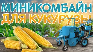 Миникомбайн для КУКУРУЗЫ | ищем ПОПУЛЯРНЫЙ и доступный