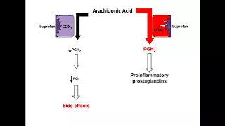 Ibuprofen - Mechanism of Action