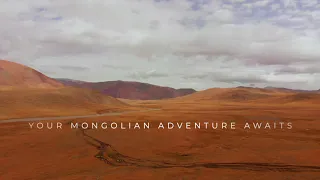 Your Mongolian Adventure Awaits with Sayat Travel