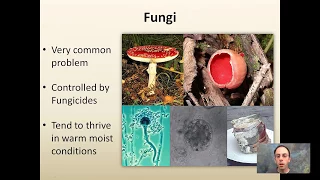 Diagnosing Plant Problems