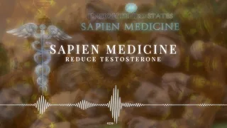 Regulate Hormones (Reduce Testosterone and DHT, Energetically Programmed Audio) by Sapien Medicine