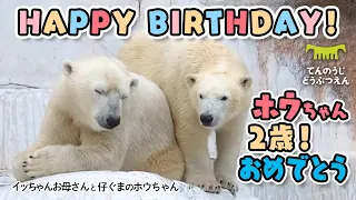 【天王寺動物園】HAPPY BIRTHDAY! 2歳おめでとう！🎉🎈🎂🐻‍❄️もうすぐひとり立ち こぐまのホウちゃん[Tennoji Zoo] Happy 2nd birthday, Houchan!