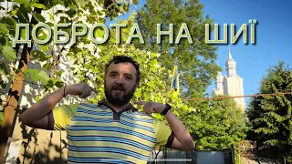 ДОБРОТА НА ШИЇ /659/ Майтеся файно