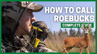 How to call ROE DEER during the RUT: Tactics and tips to be successful.
