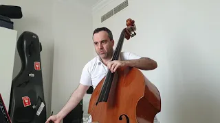 Bruckner - Symphony n.7, 1st Movement - Double Bass excerpt