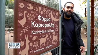 Aeolos Report | Φάρμα Καριοφύλλη