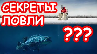 Зимняя рыбалка для начинающих. Советы и секреты ловли