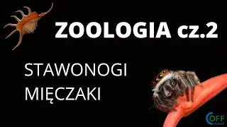 Zoologia cz.2 - Stawonogi i Mięczaki - Spotkania maturalne Off Course z BIOLOGII