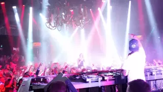 Avicii - Live at XS Nightclub (Hey Brother)