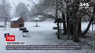 Погода в Україні: через арктичний циклон в центральній Україні випав сніг