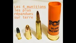 Les 4 munitions les plus répandues sur terre . Survie / survivaliste / preppers ...