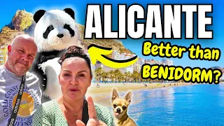 ALICANTE or BENIDORM: The Ultimate Comparison