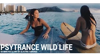 Psychedelic Progressive Psytrance Wild Life Experience En Masse 2016 DJ Mix by Electric Samurai